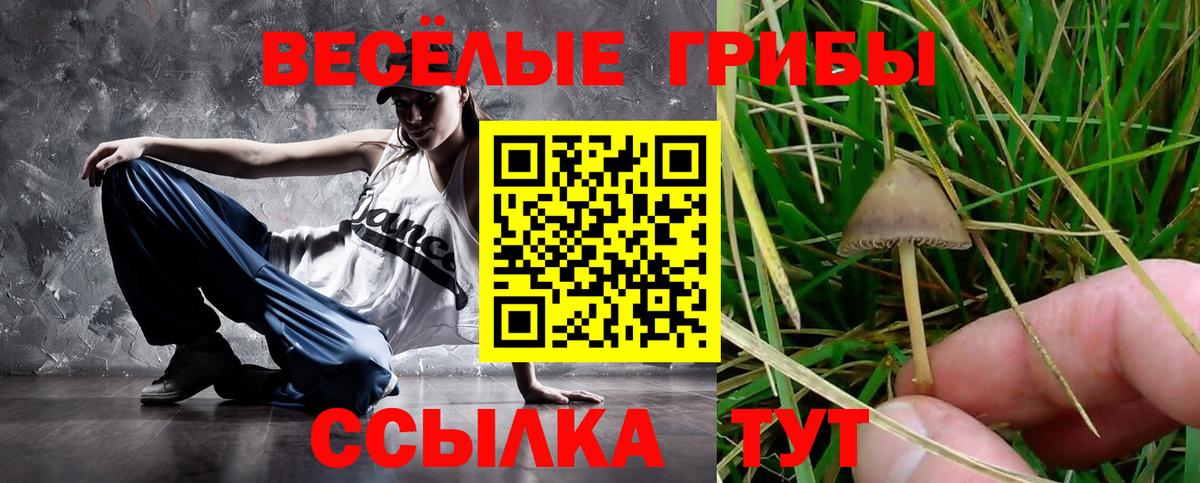 Псилоцибиновые грибы Cubensis  Вход с VPN  Когалым 